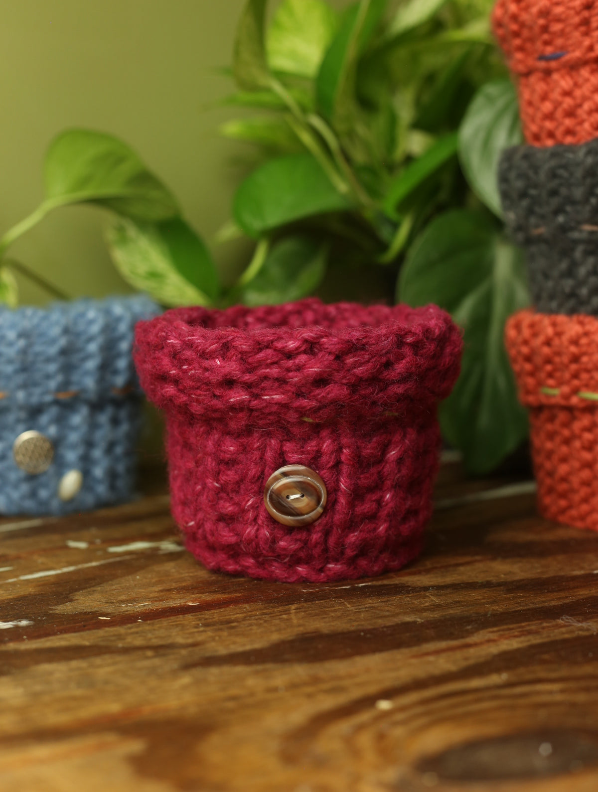 Plant Sweater 4 Inch