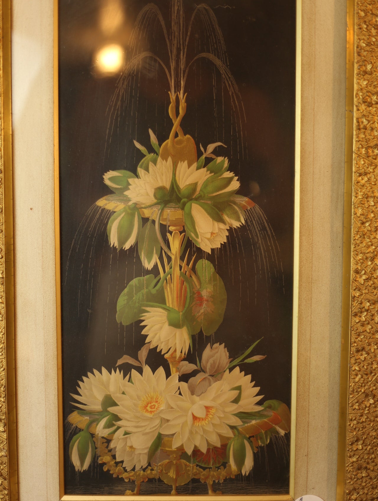 Vintage Waterlily Print Frames