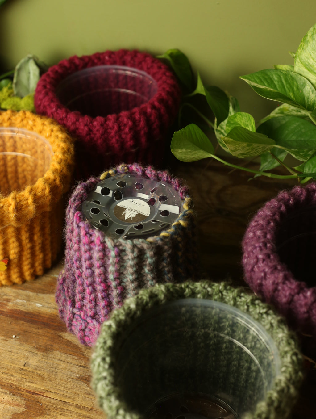 Plant Sweaters 6 inch