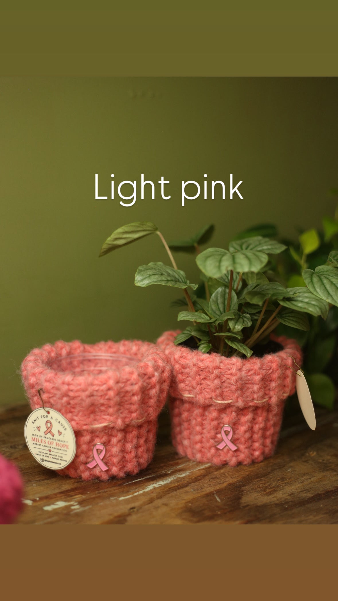 'Knit For A Cause' Plant Sweaters 4 Inch