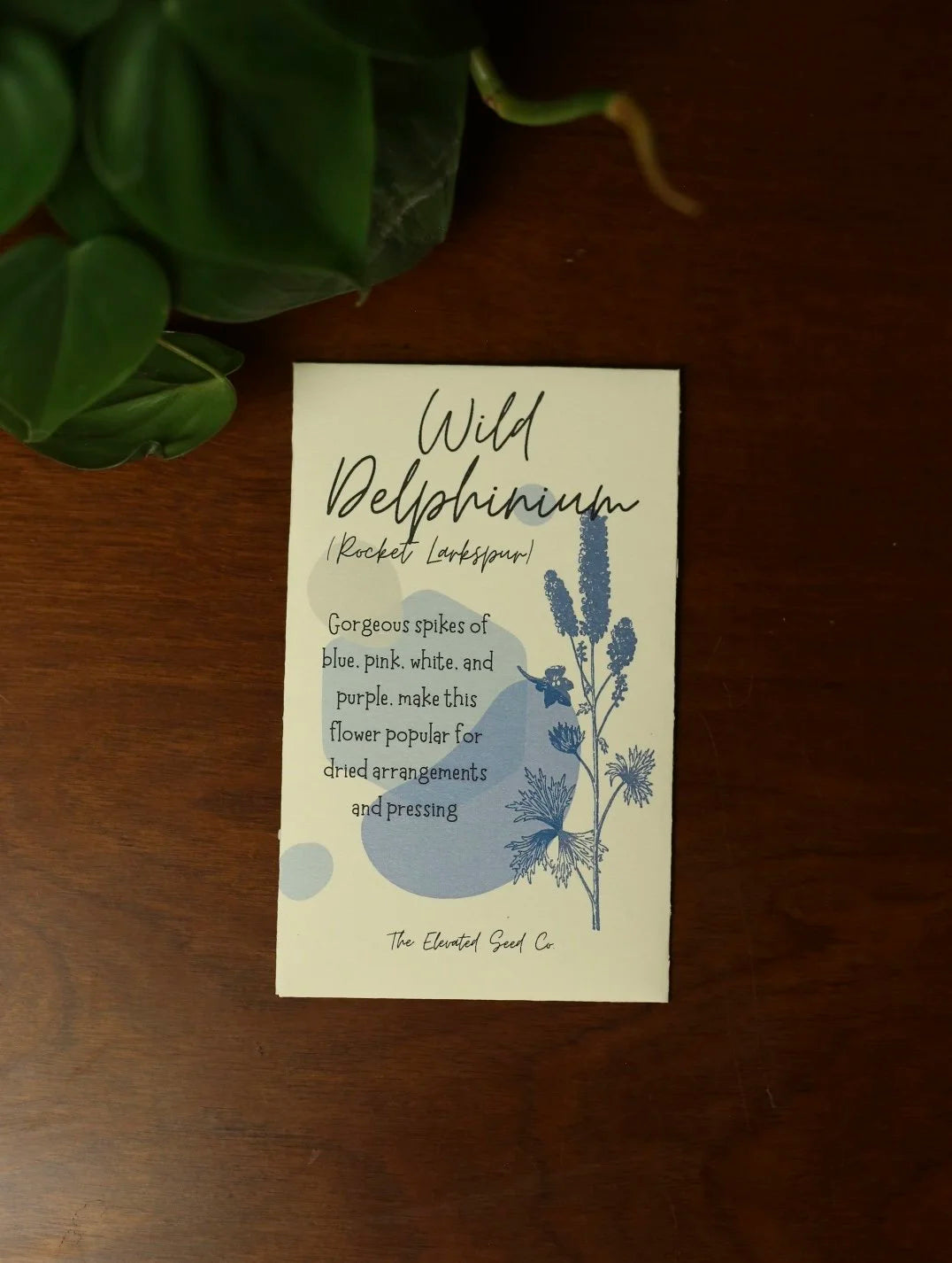 Wild Delphinium Flower Seeds