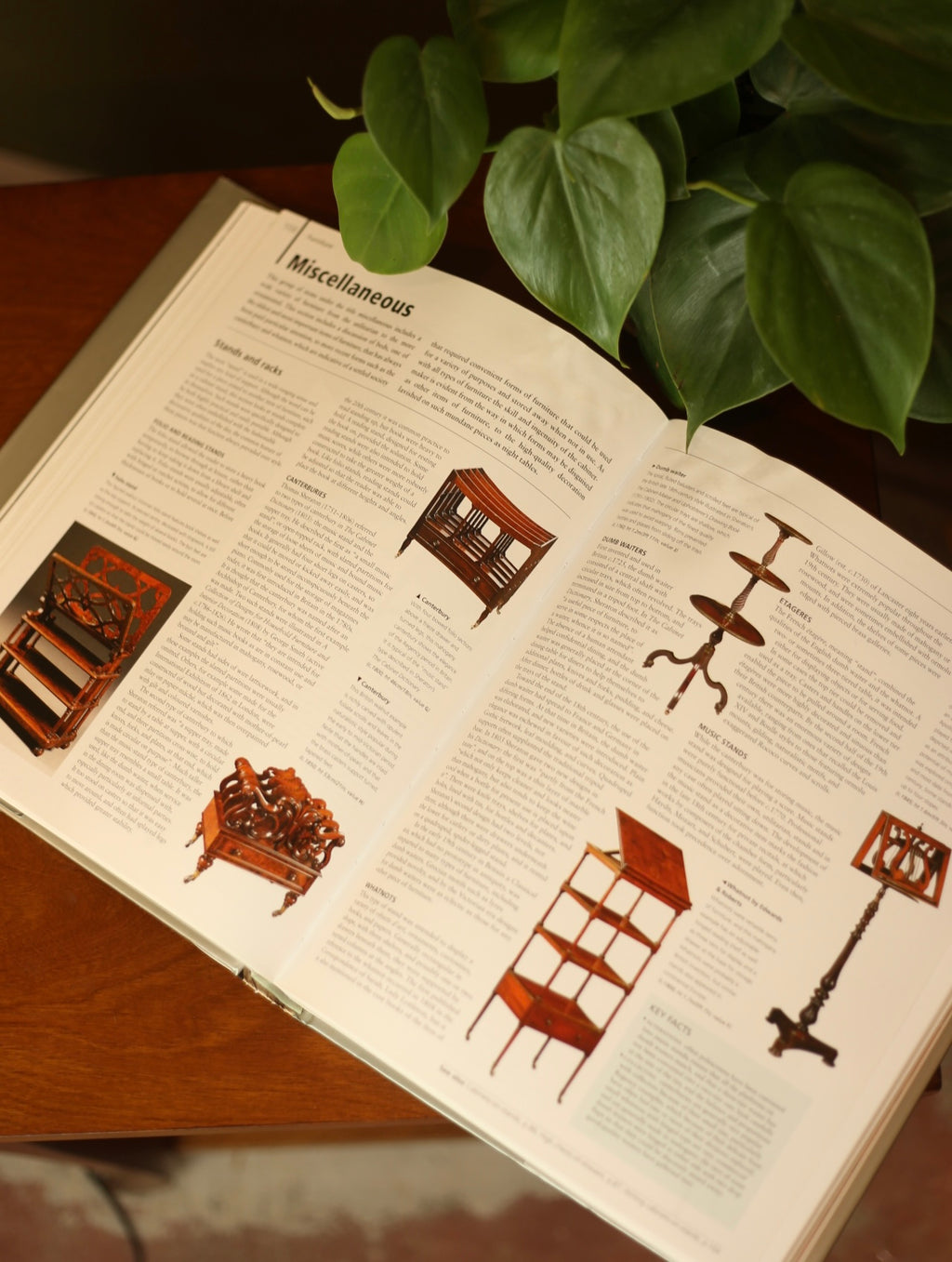 Miller's Antiques Encyclopedia by Judith Miller
