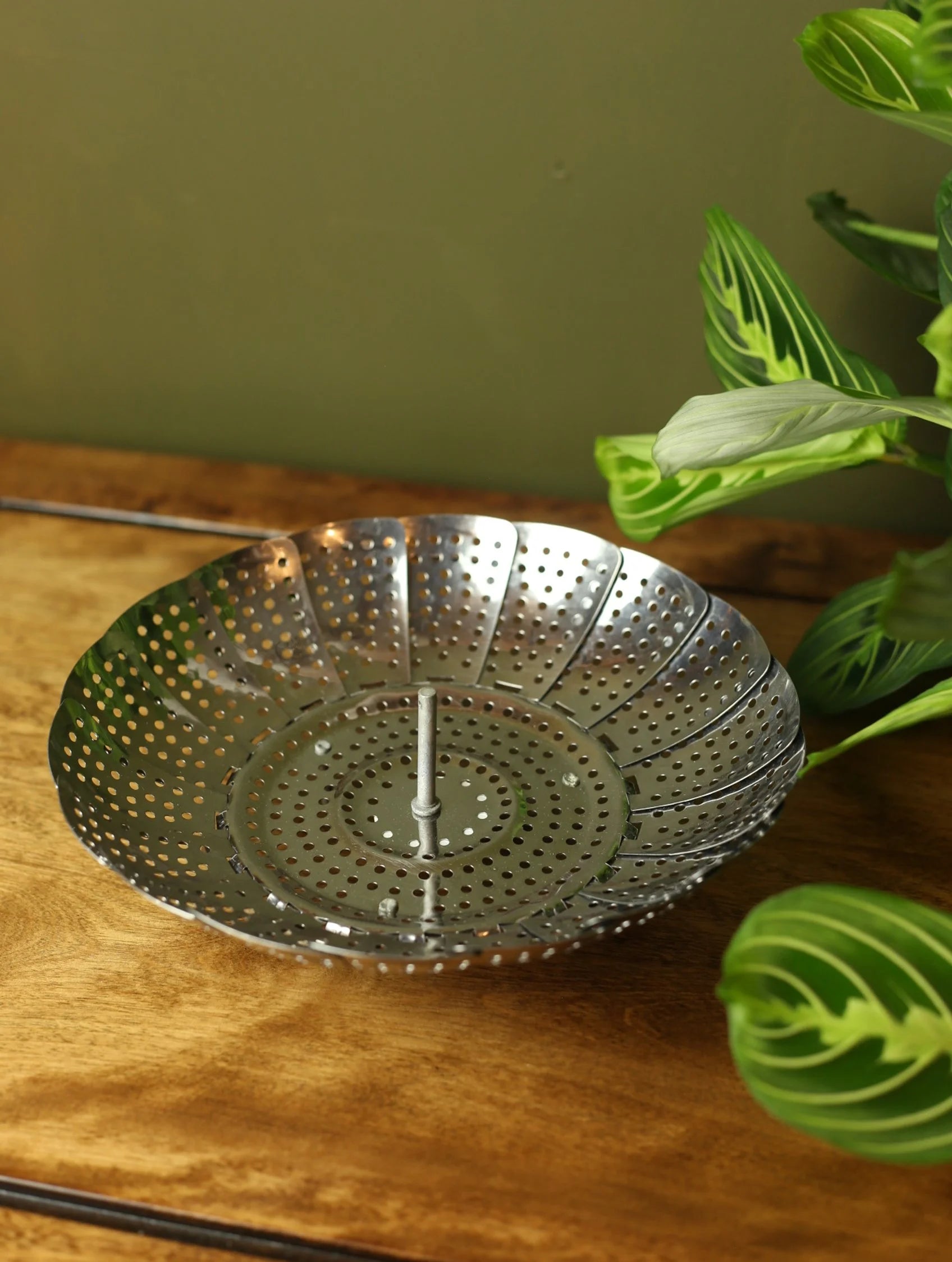 Stainless Steel Vegetable Steamer