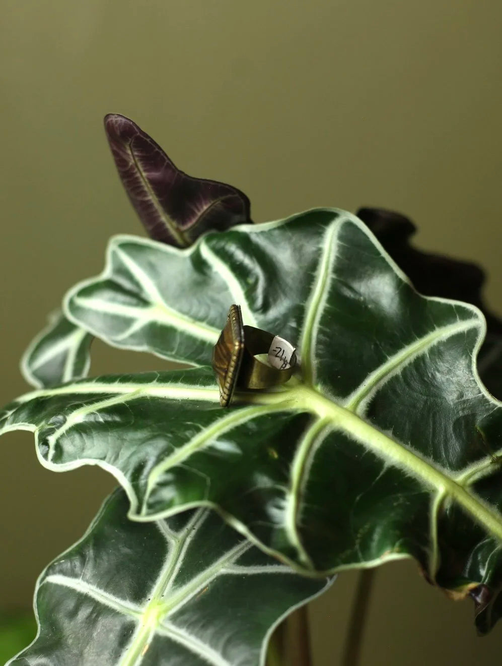 Tiger Resin Brass Adjustable Ring