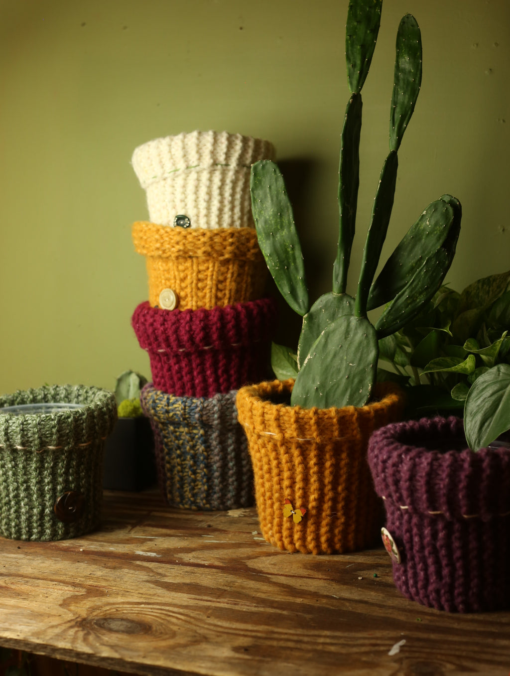 Plant Sweaters 6 inch