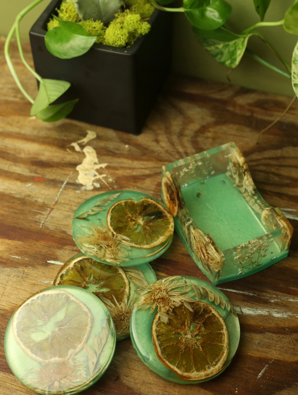 Preserved Flower & Orange Coaster Set