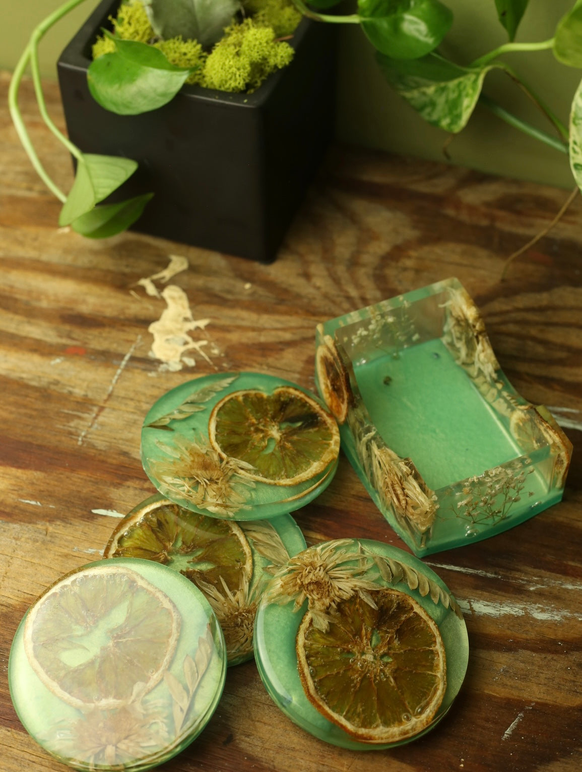 Preserved Flower & Orange Coaster Set