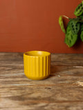 Mustard Plant Pot - 2.75 inch