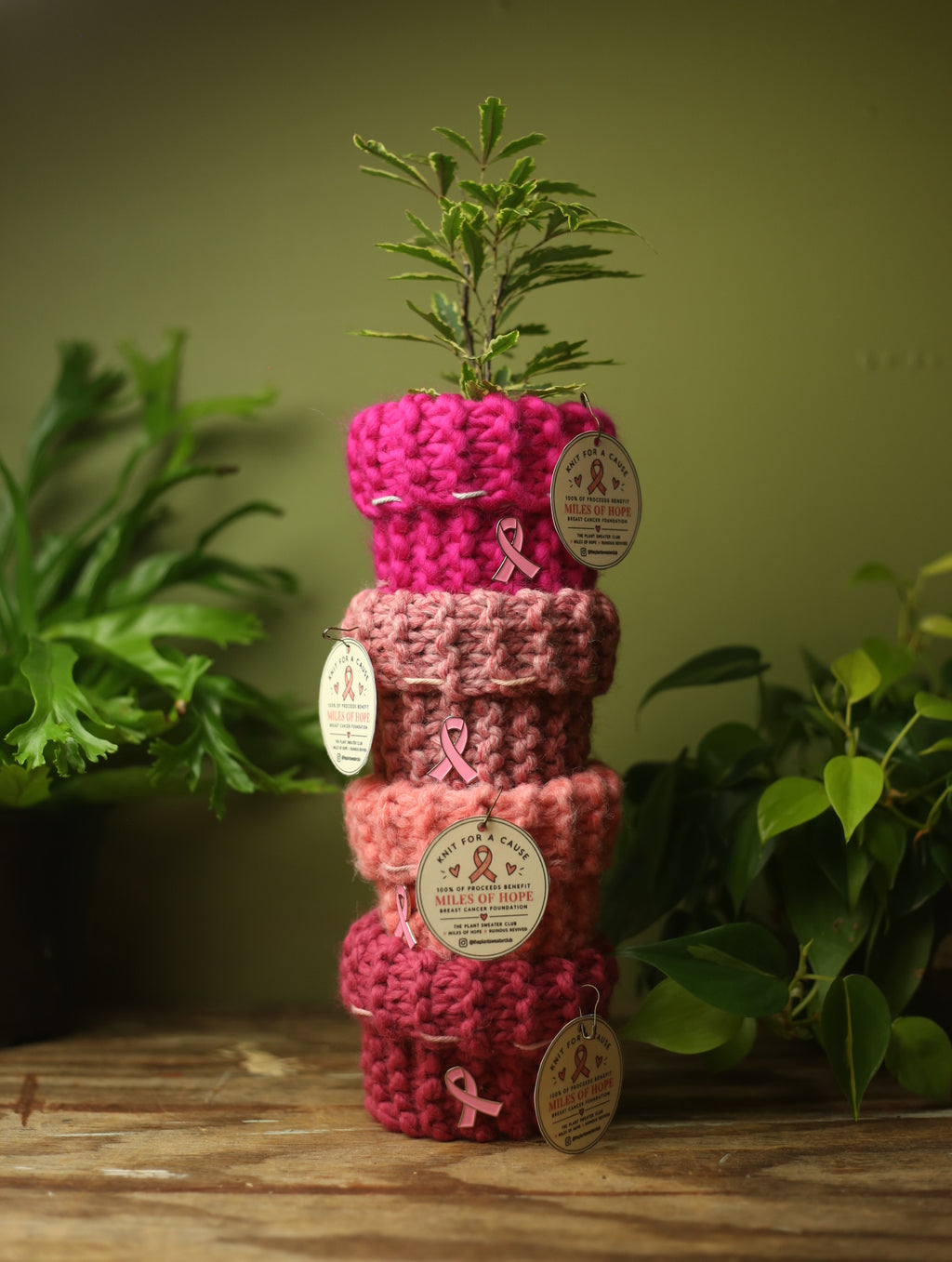 'Knit For A Cause' Plant Sweaters 3 Inch