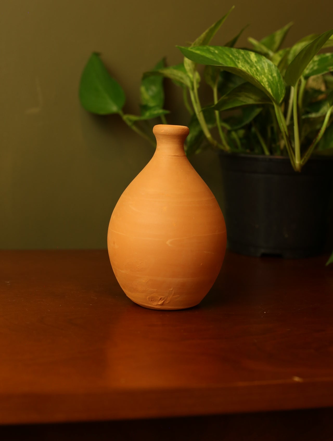 Terracotta watering bell