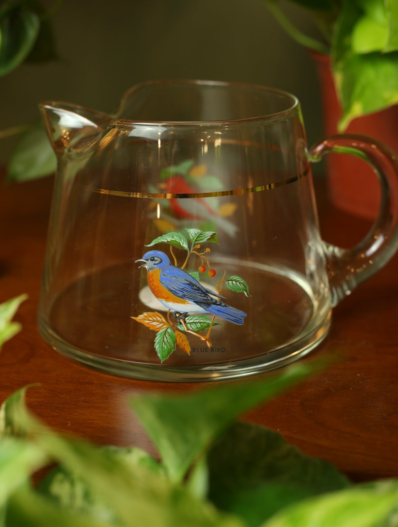 Bluebird & Scarlet Tanager Glass Pitcher