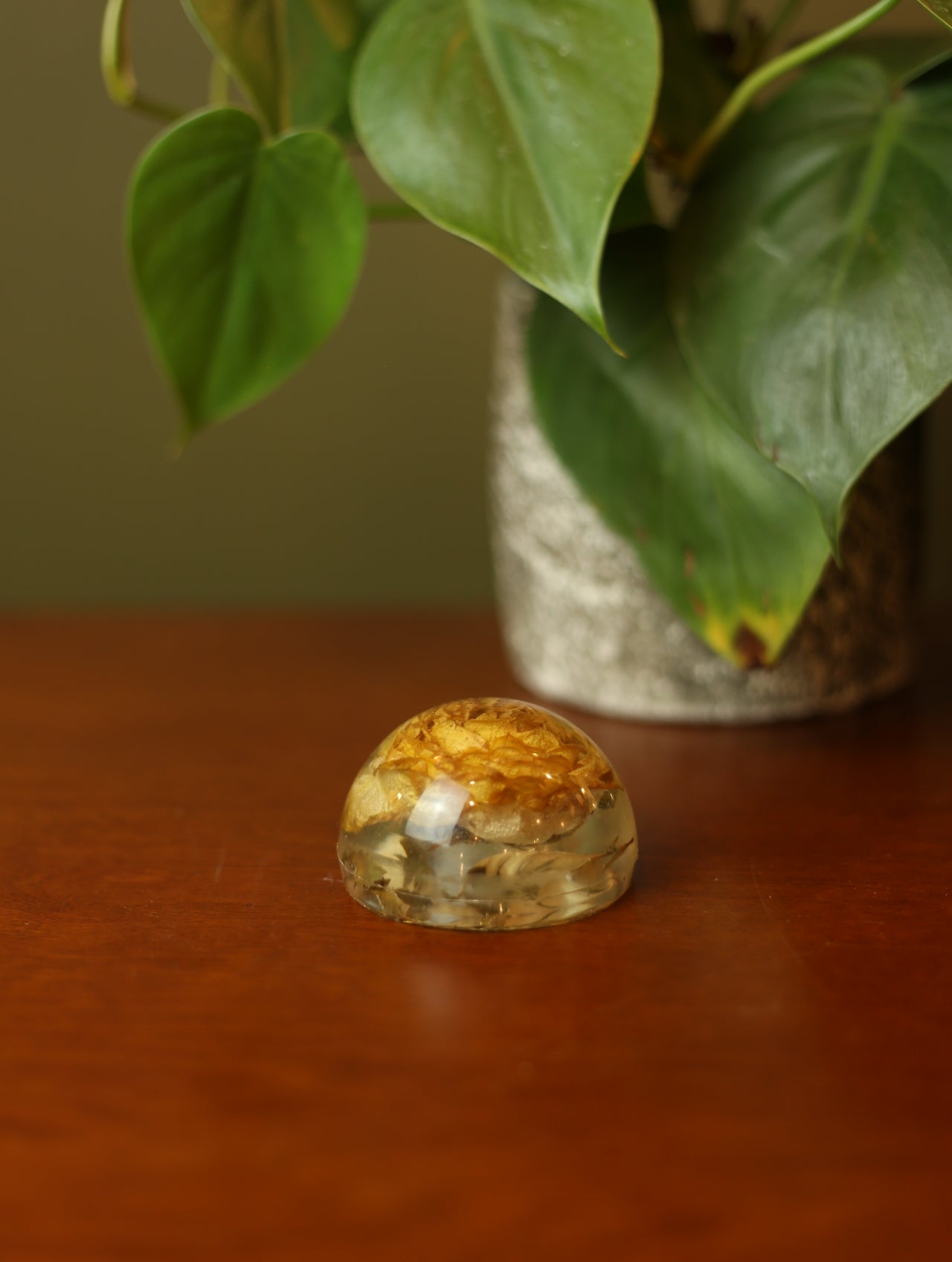 Yellow Rose Resin Paperweight