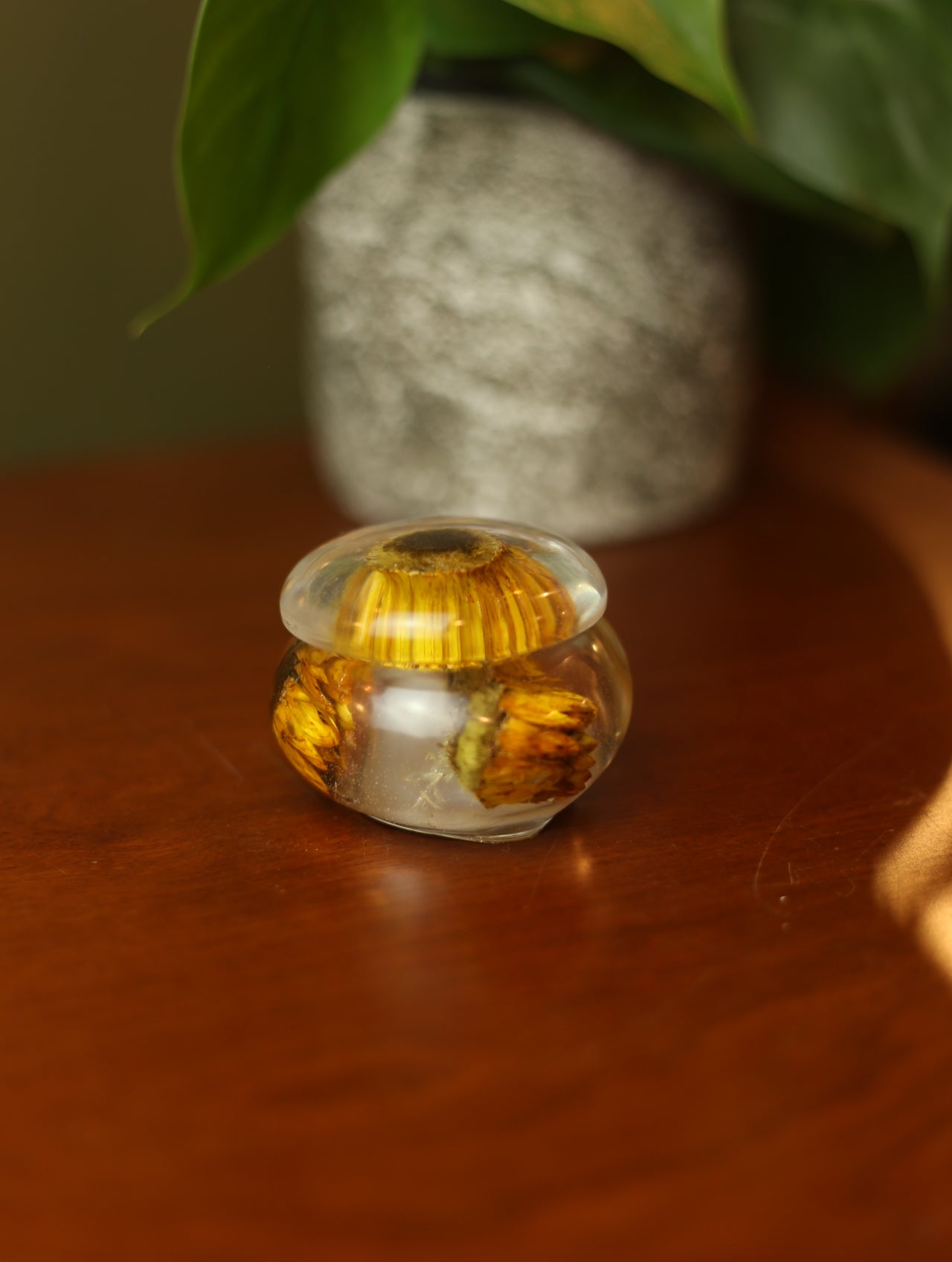 Daisy Mini Resin Jar #2