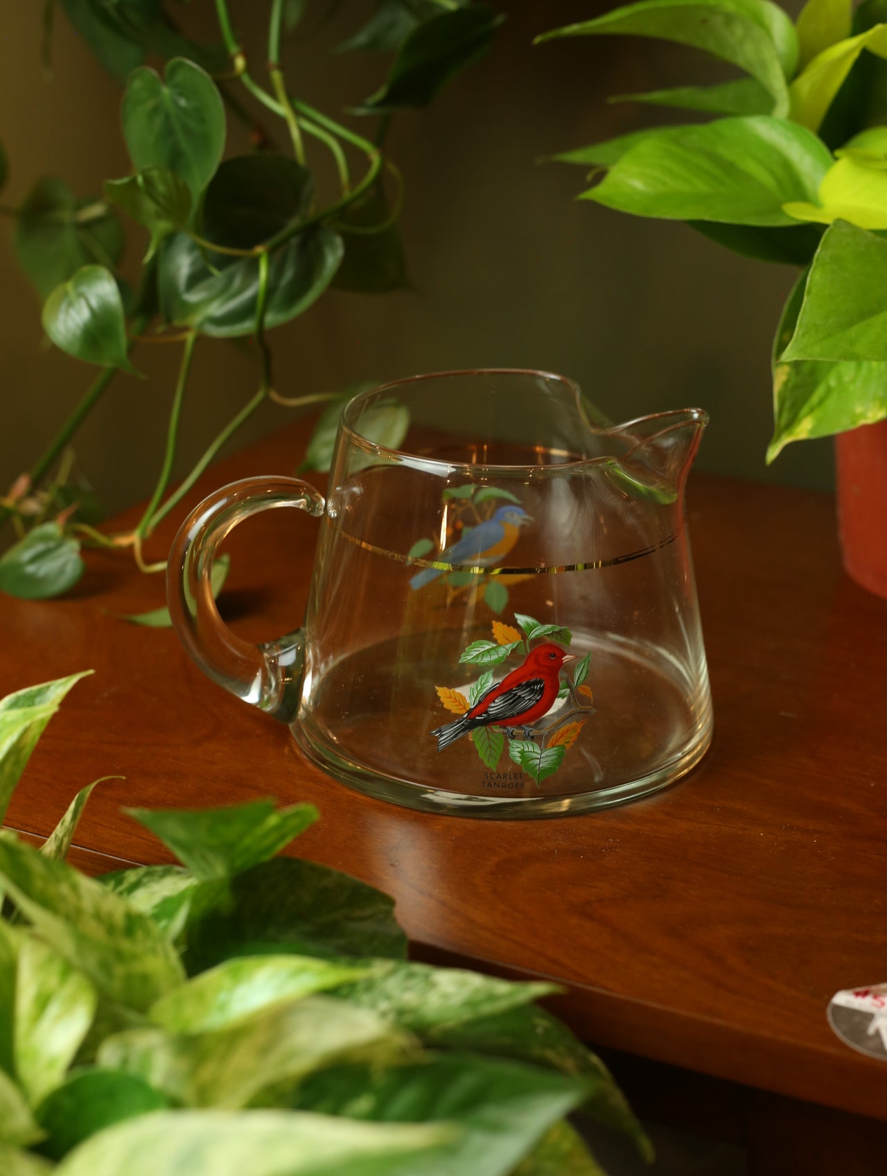 Bluebird & Scarlet Tanager Glass Pitcher