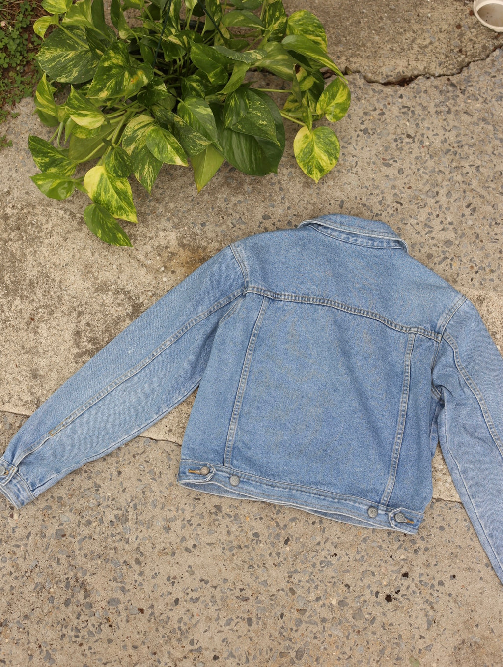 Etam women's denim jacket