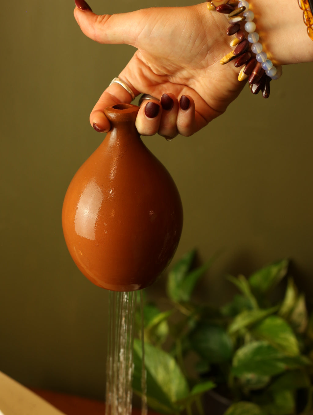 Terracotta watering bell