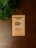 Broadleaf Sage Seeds