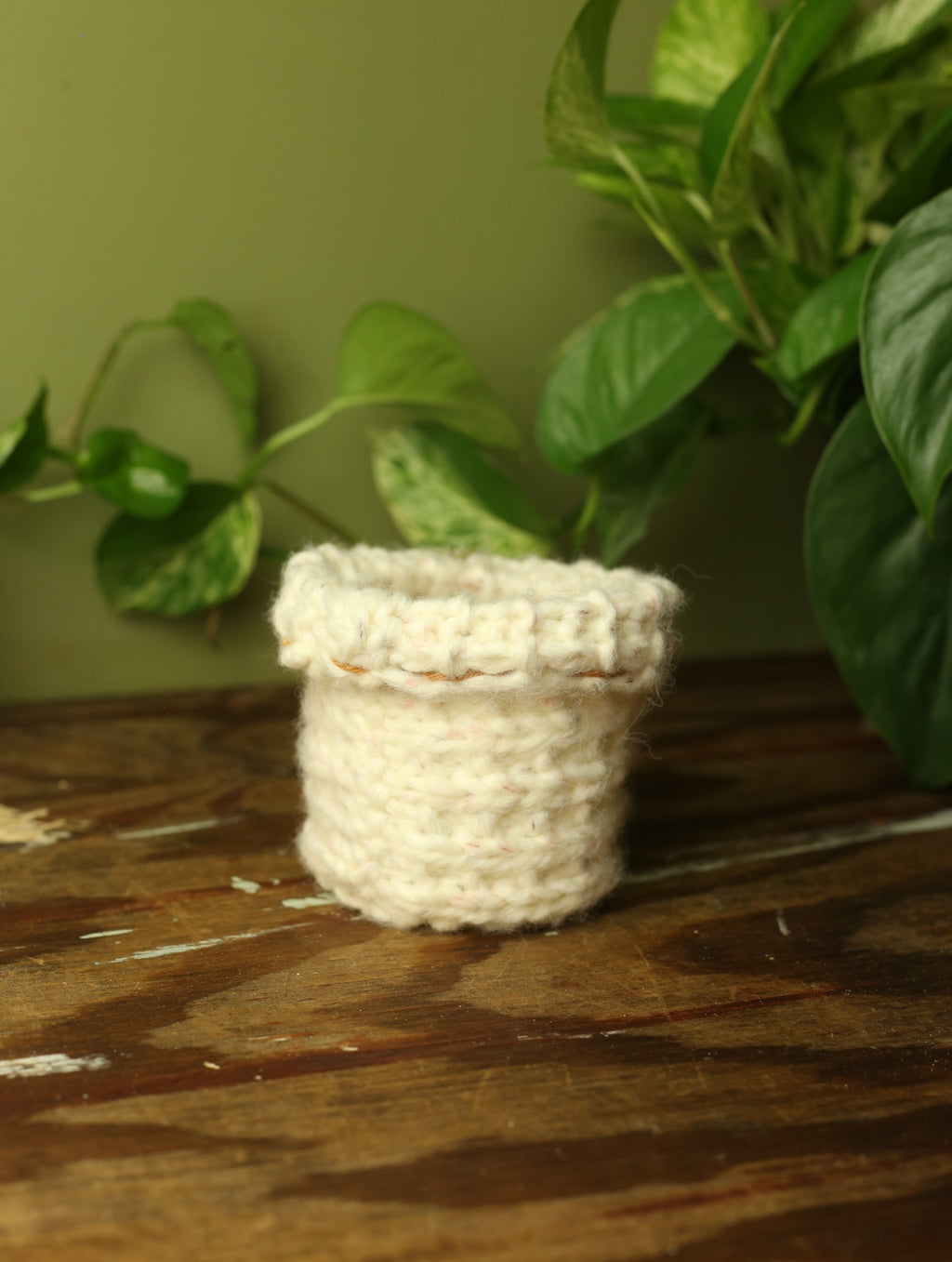 Plant Sweater 3 inch