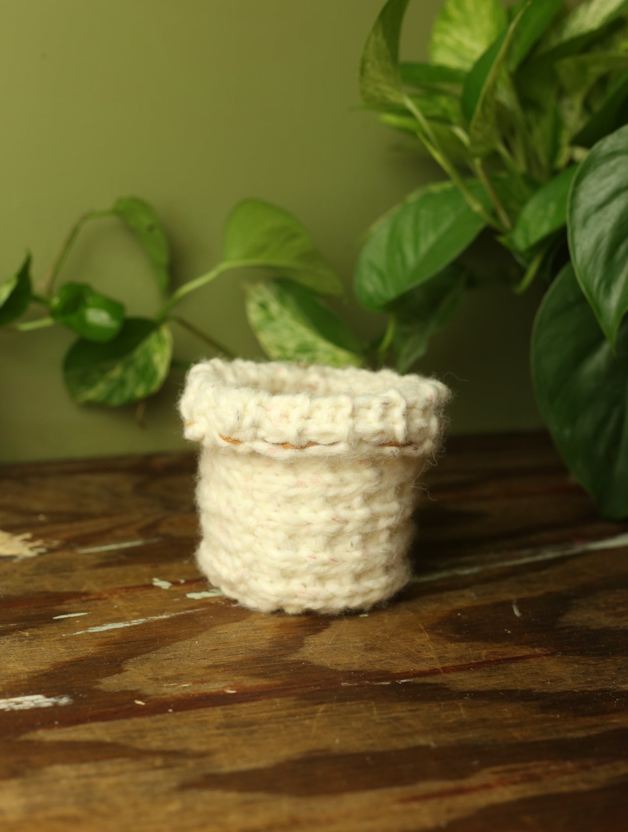 Plant Sweater 3 inch