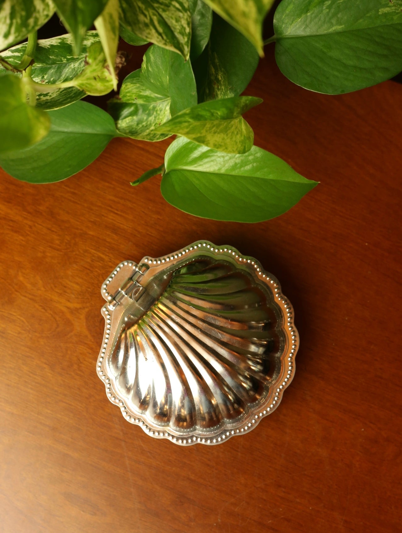 Shell jewelry box