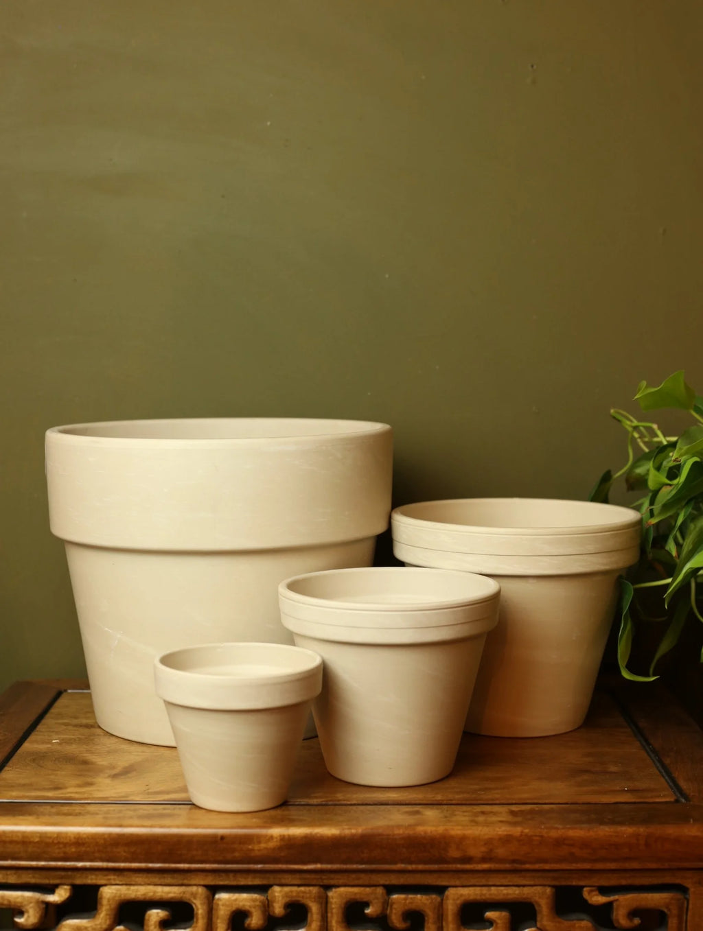Cream Plant Pots
