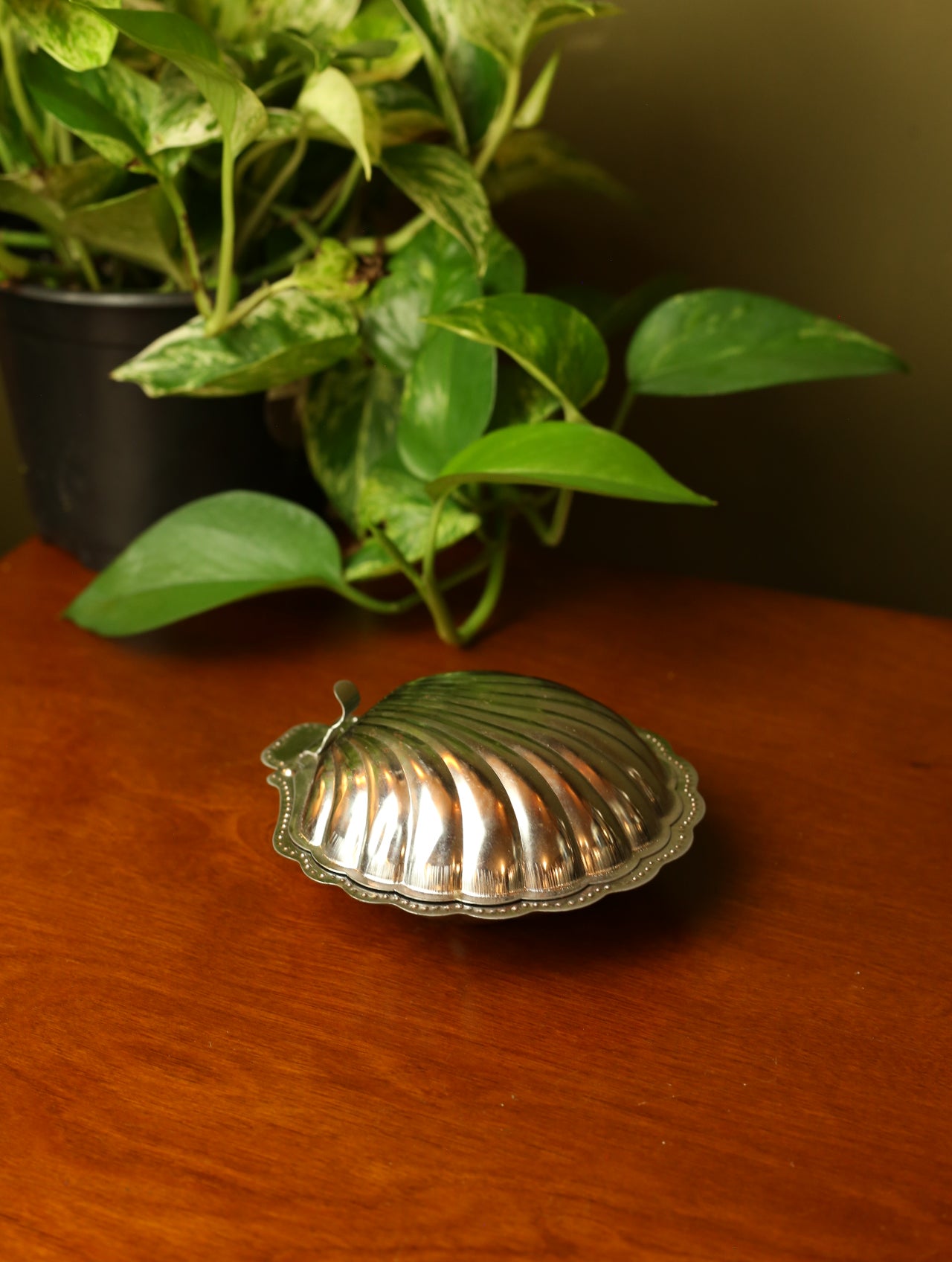 Shell jewelry box