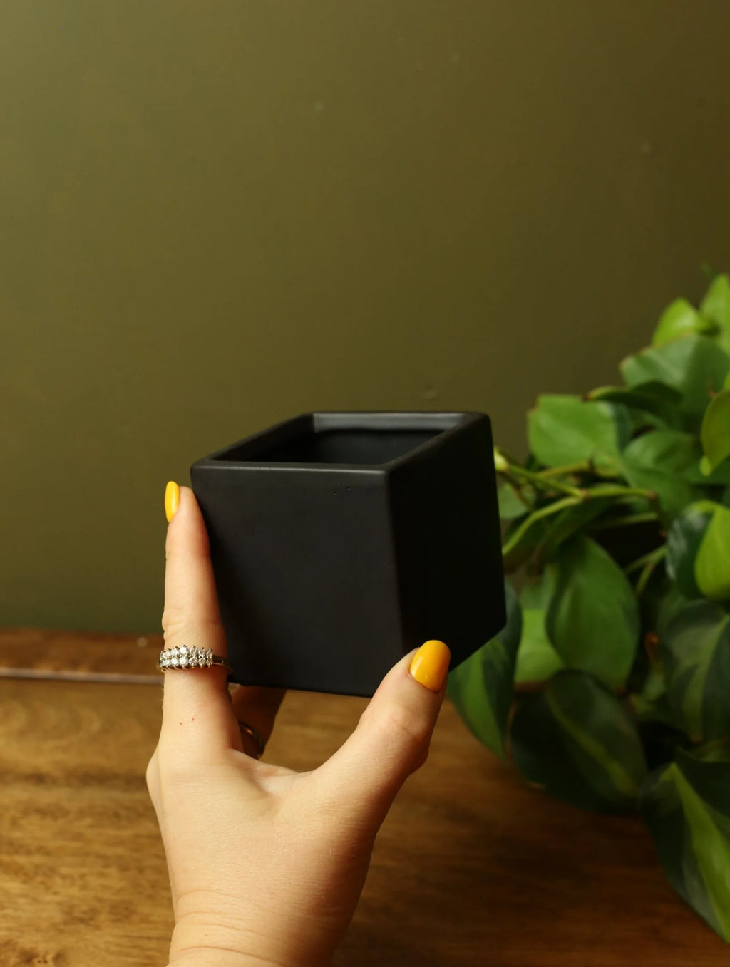Black Square Plant Pot - 3 sizes