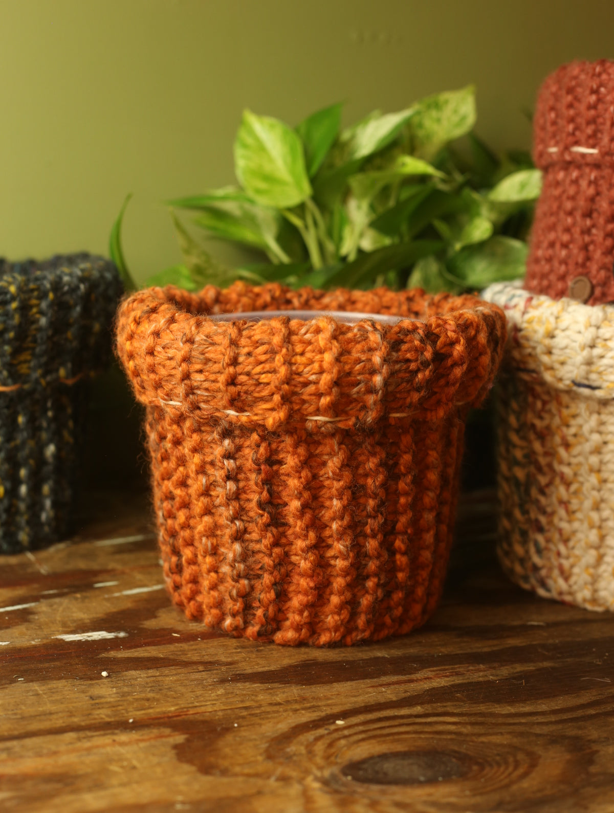 Plant Sweaters 7 inch