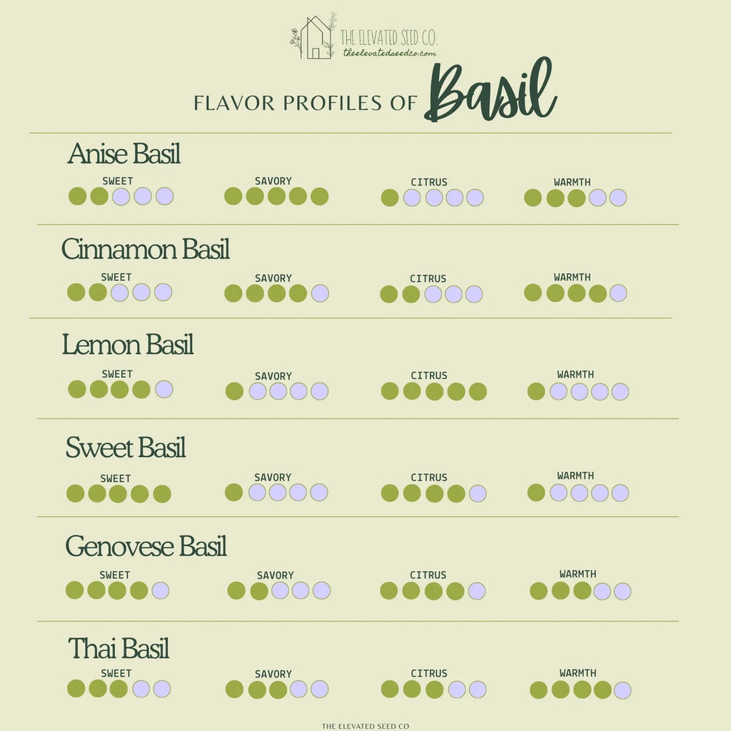 Genovese Basil Garden Seeds