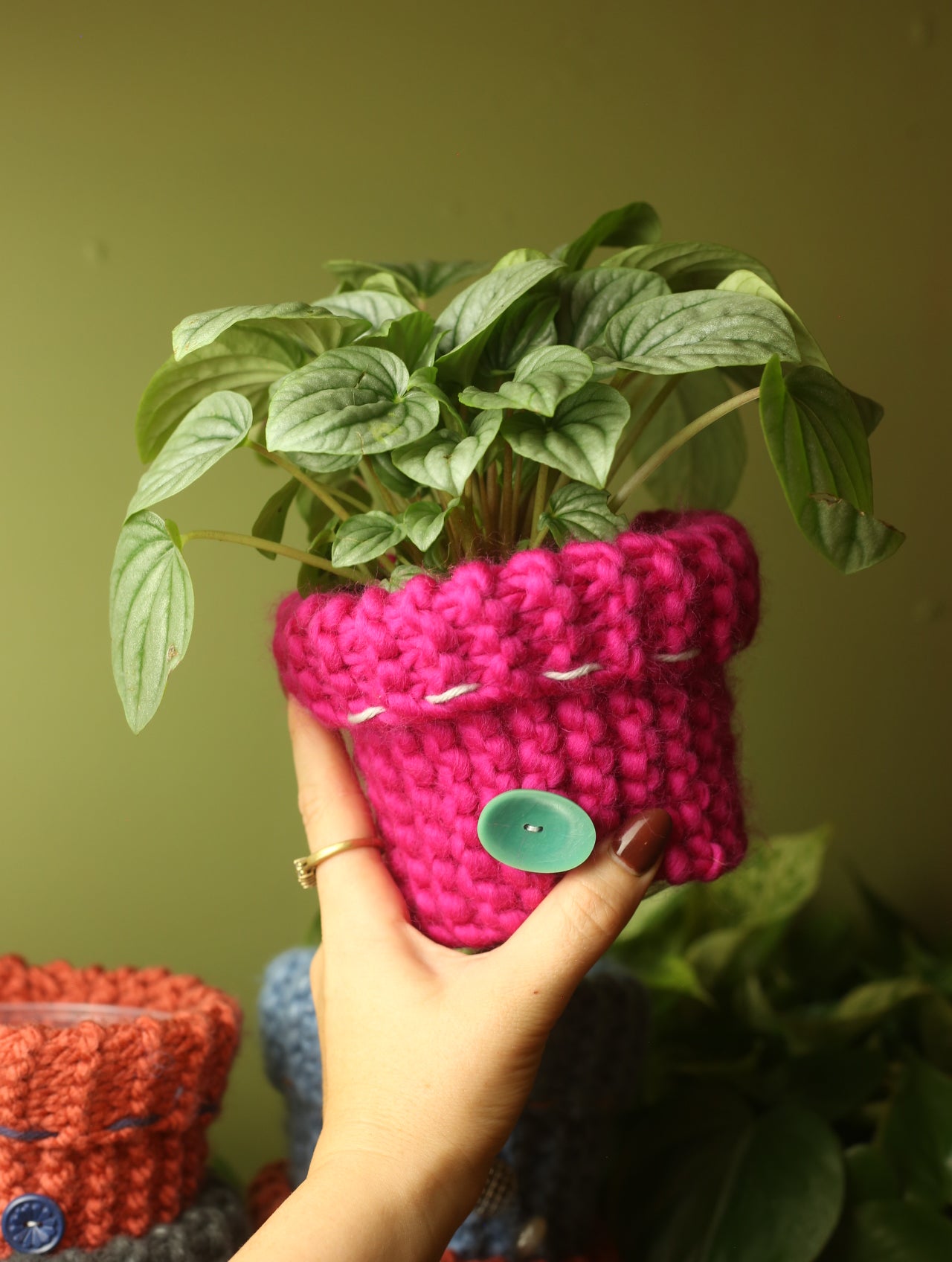 Plant Sweater 4 Inch