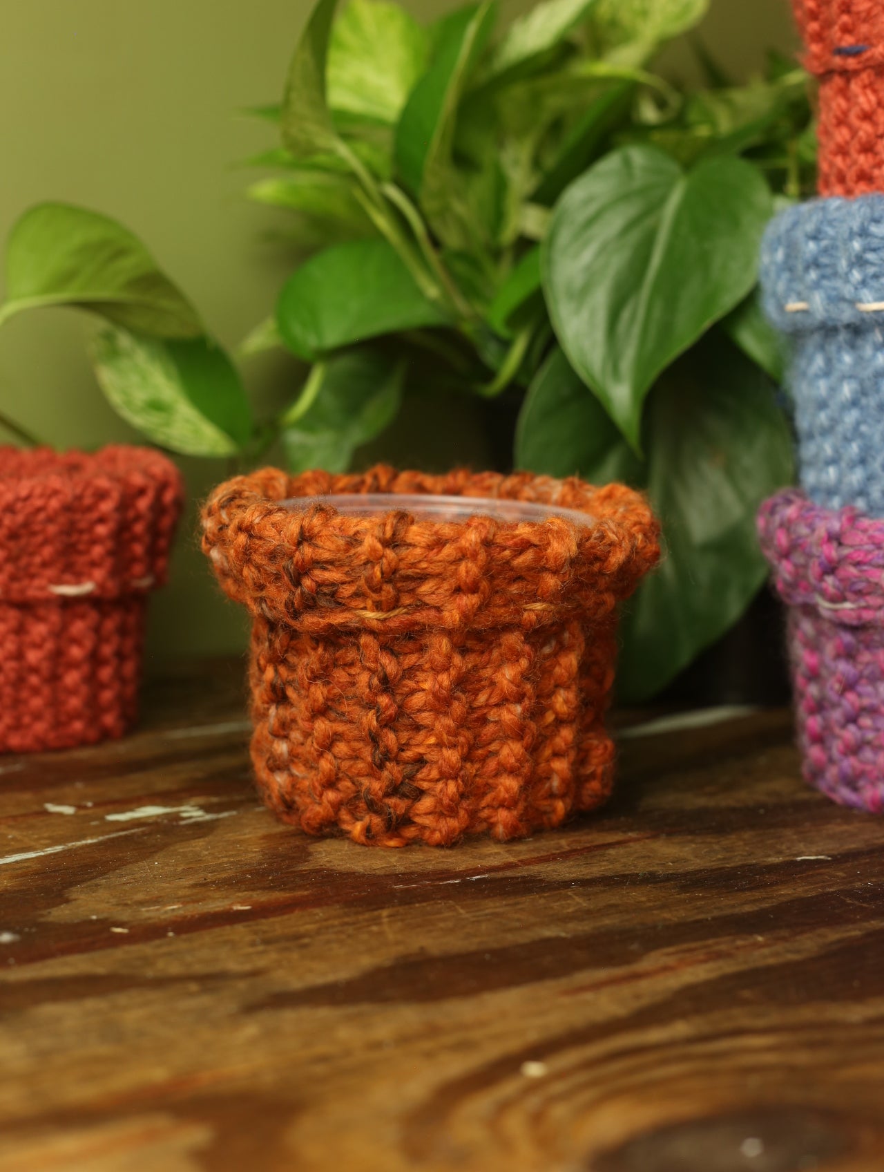 Plant Sweater 4 Inch
