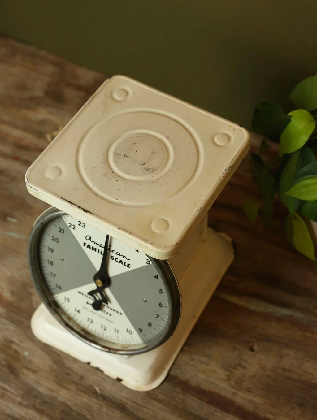 Vintage American Family Scale