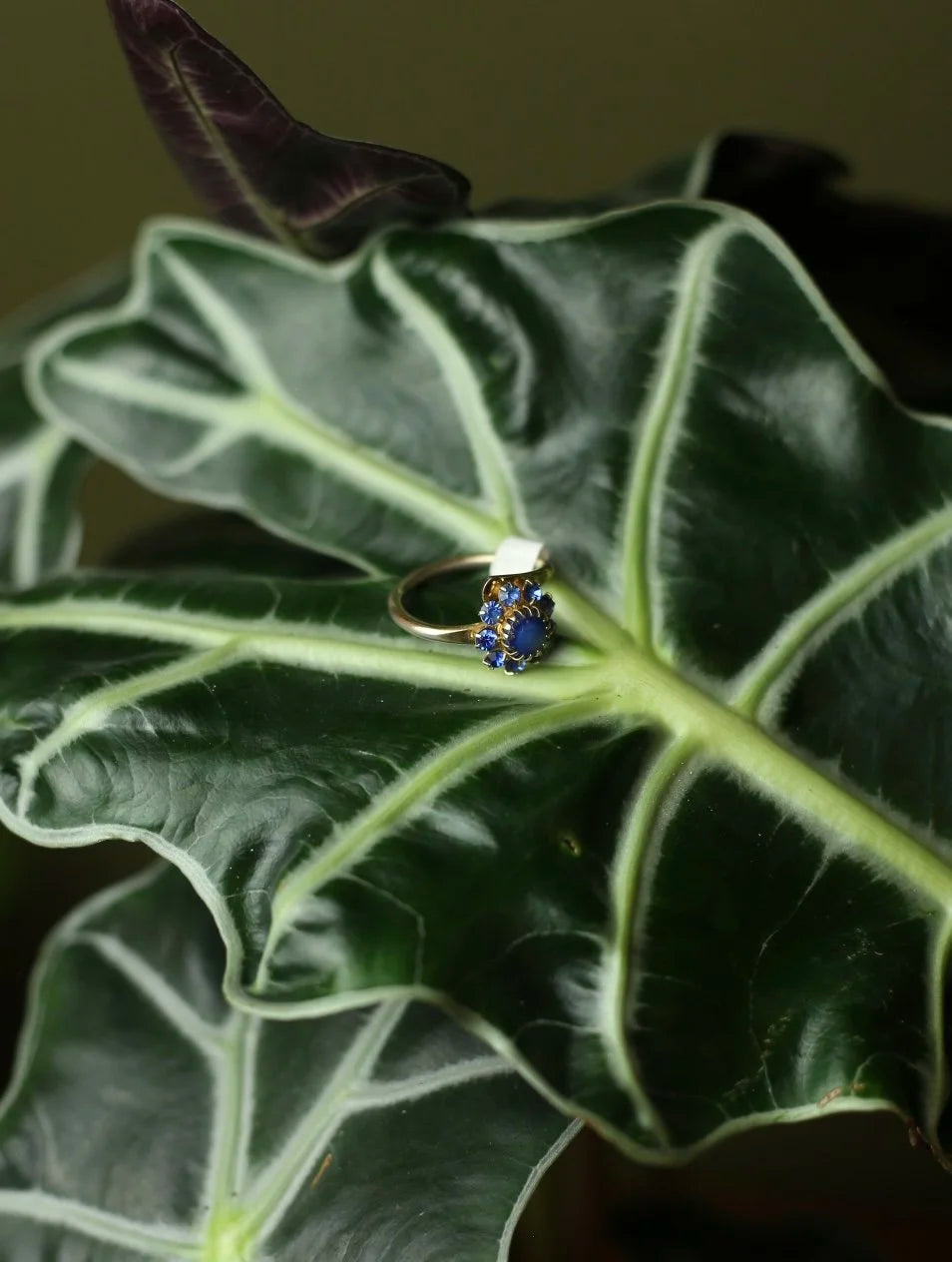 Blue Gem Sunburst Gold Tone Adjustable Ring
