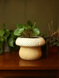 Mushroom Planter