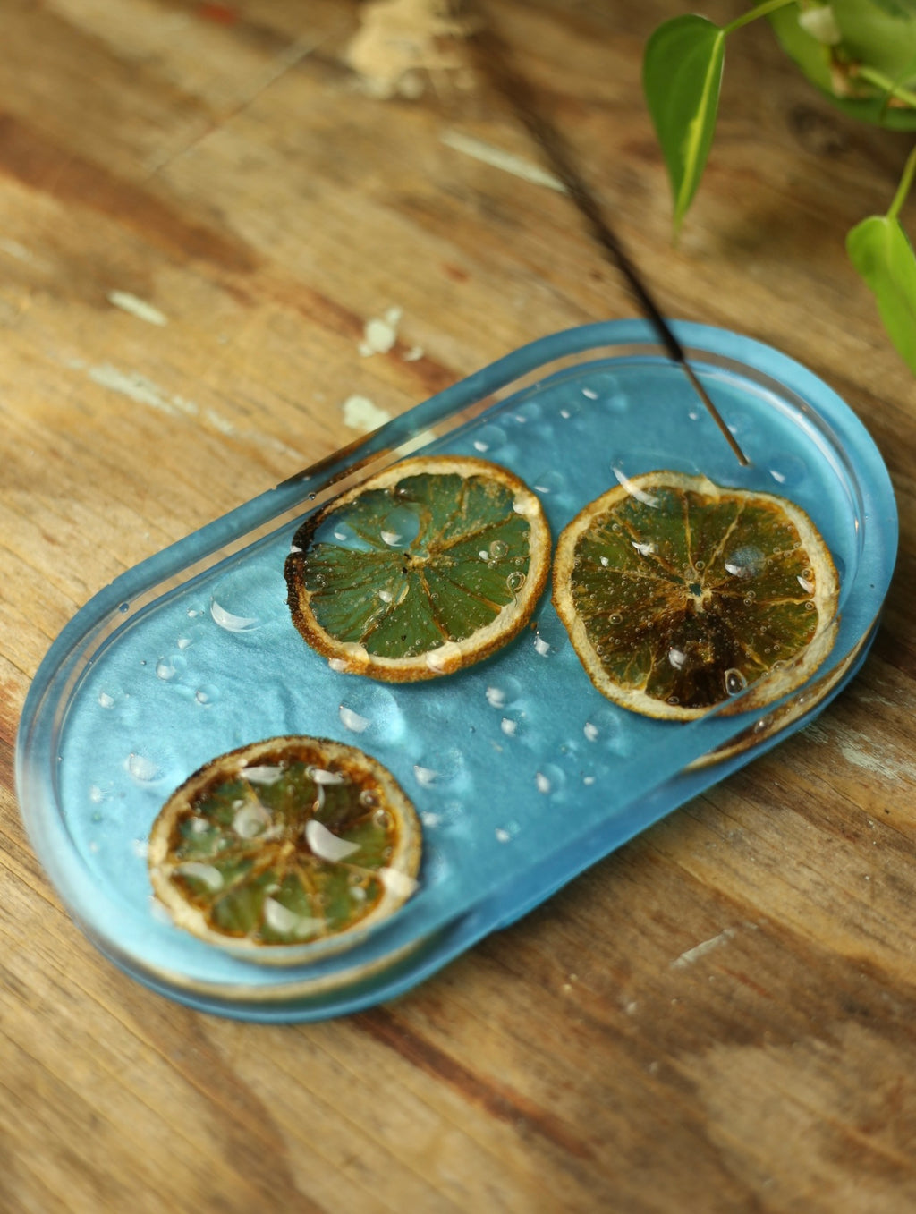 Droplets & Orange Slices Resin Incense Holder