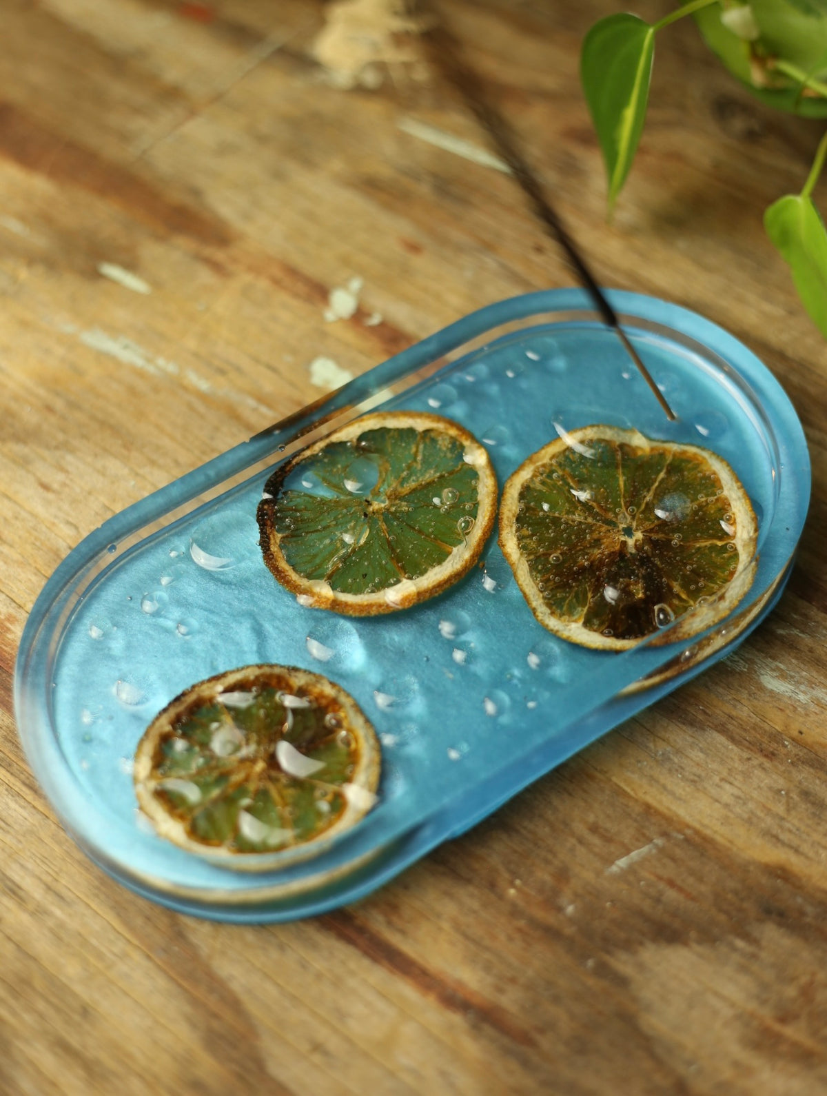 Droplets & Orange Slices Resin Incense Holder