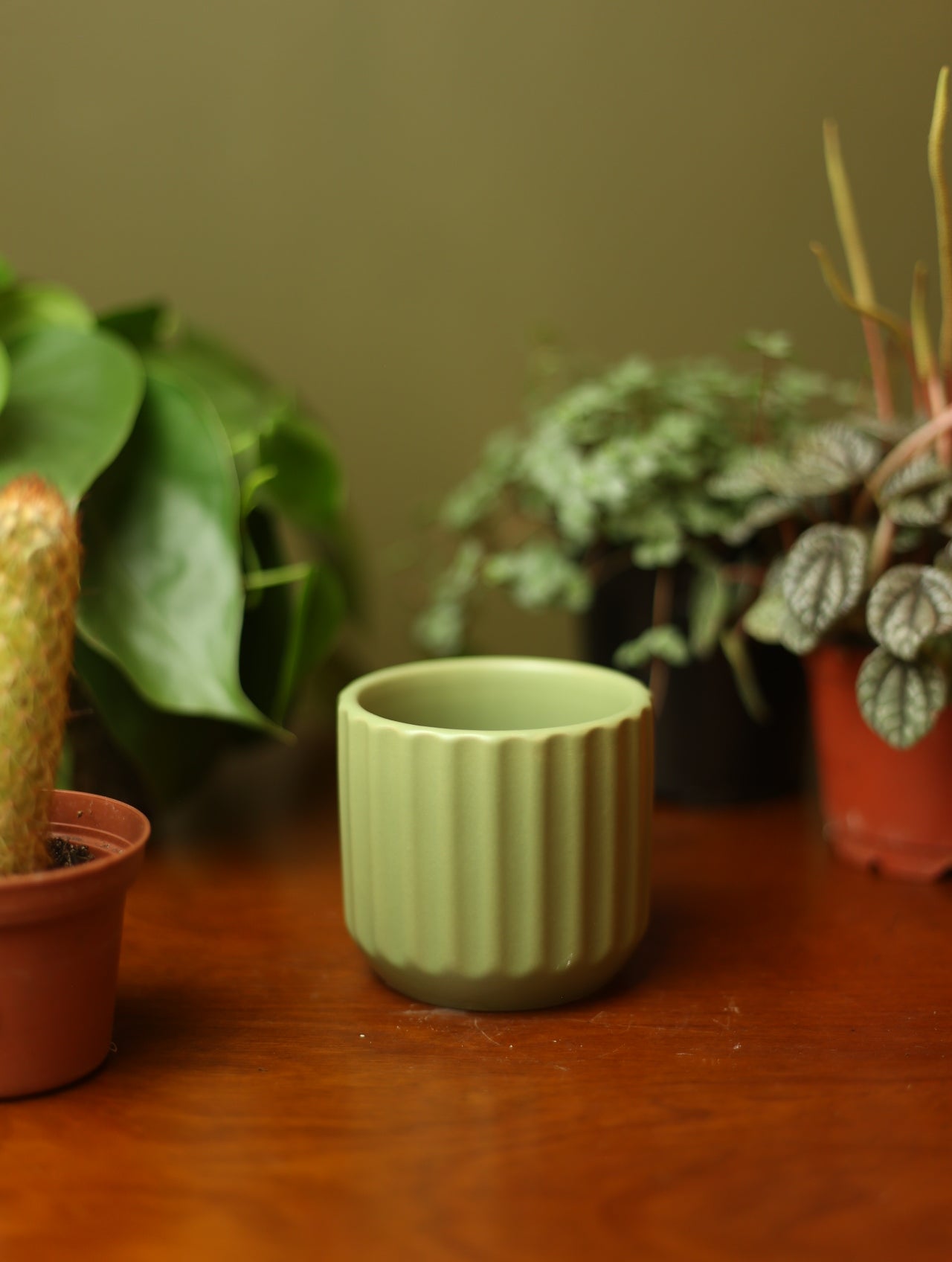Sage Green Plant Pot - 2.75 inch