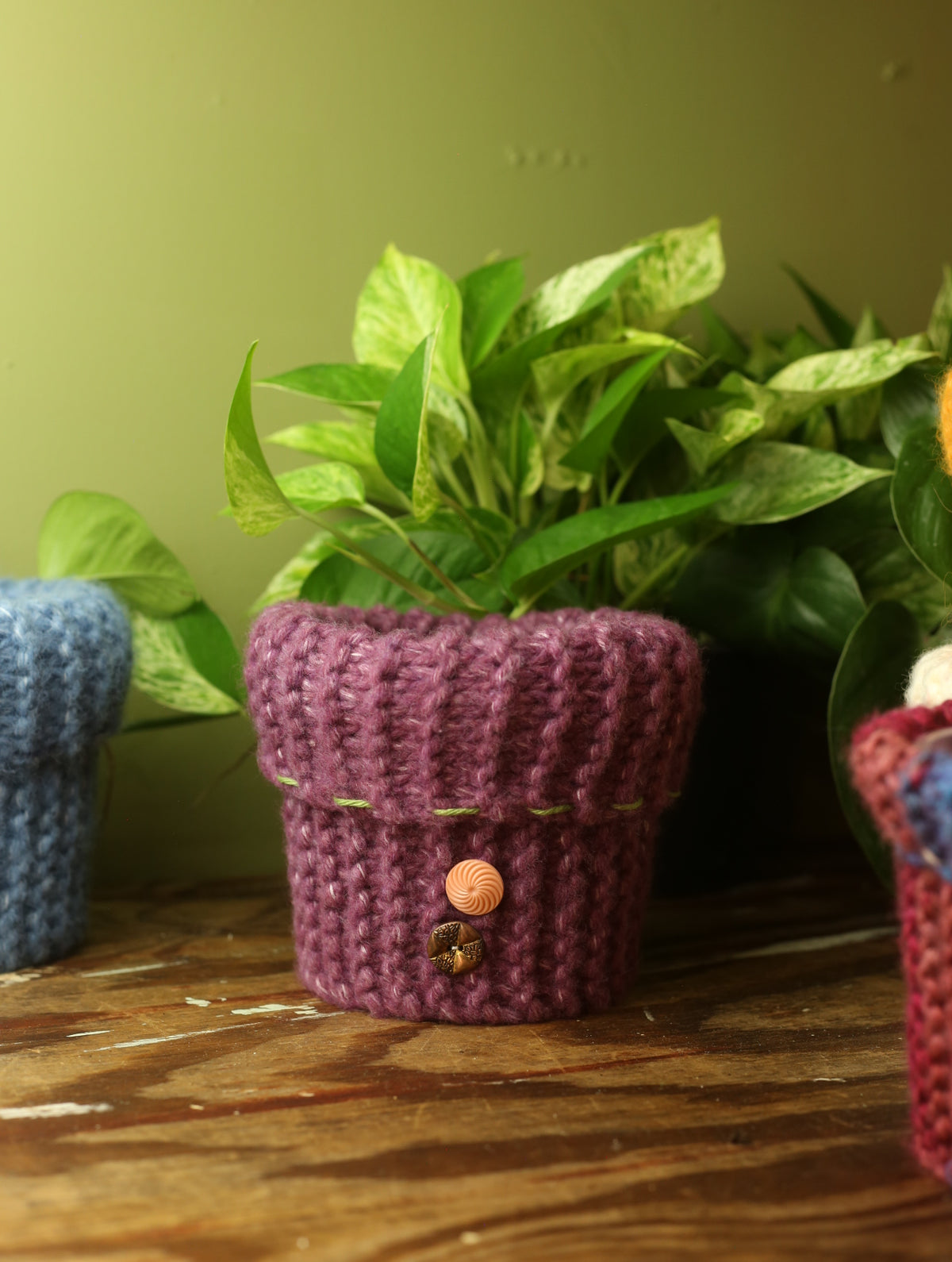 Plant Sweaters 5 inch