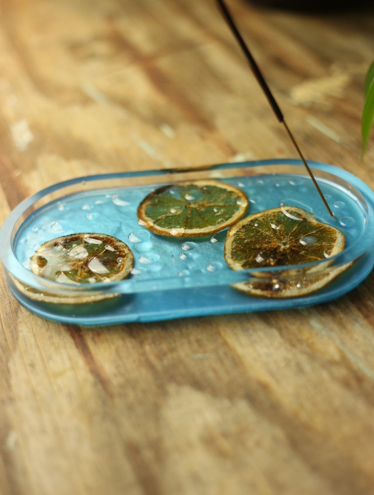 Droplets & Orange Slices Resin Incense Holder