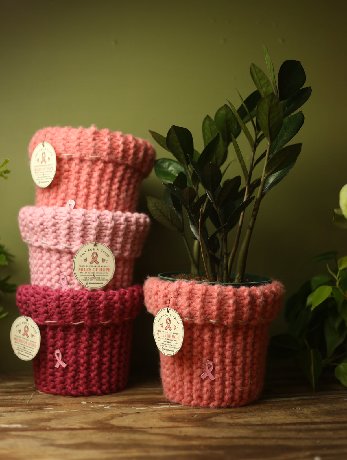 'Knit For A Cause' Plant Sweaters 6 Inch