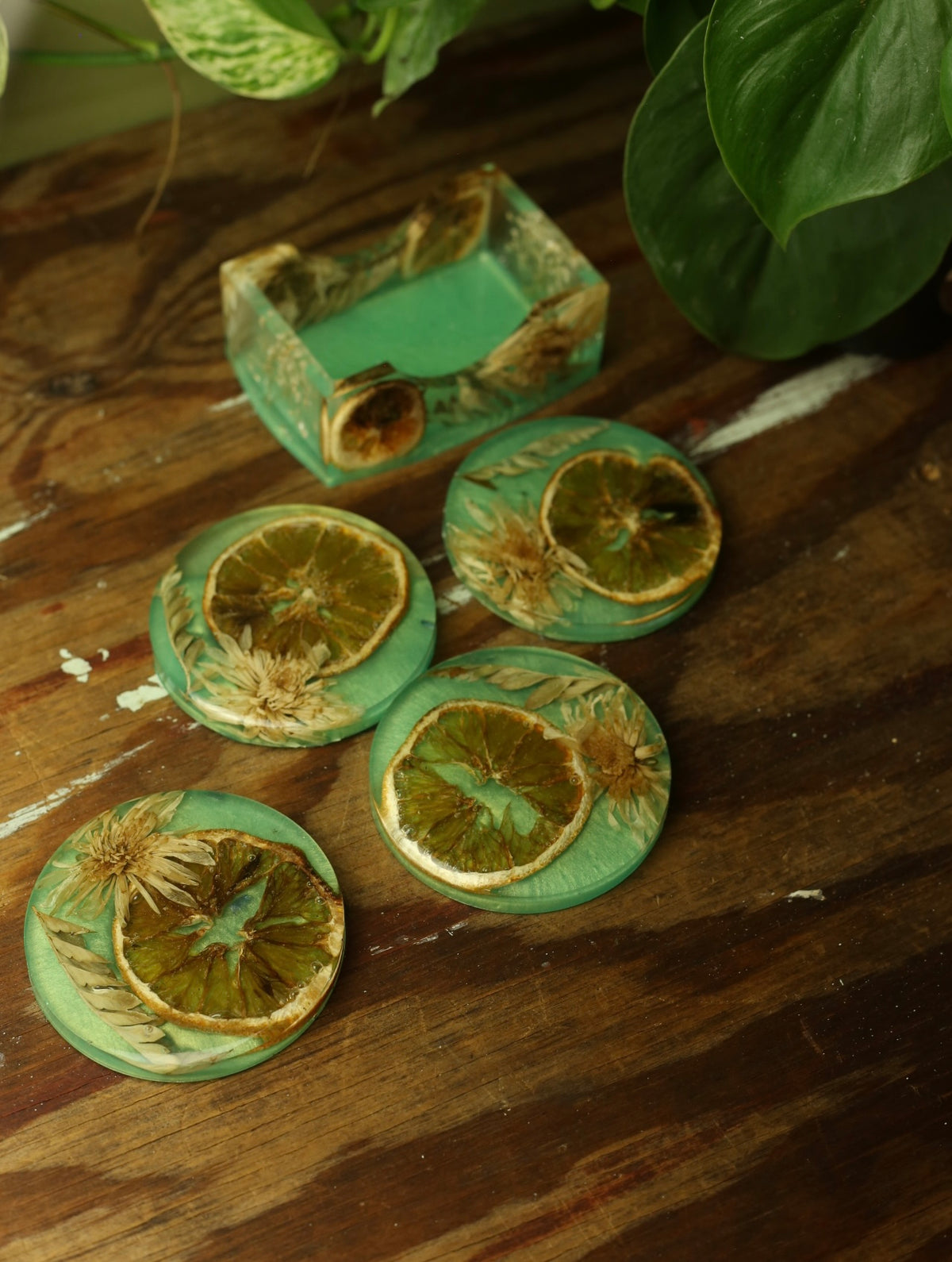 Preserved Flower & Orange Coaster Set
