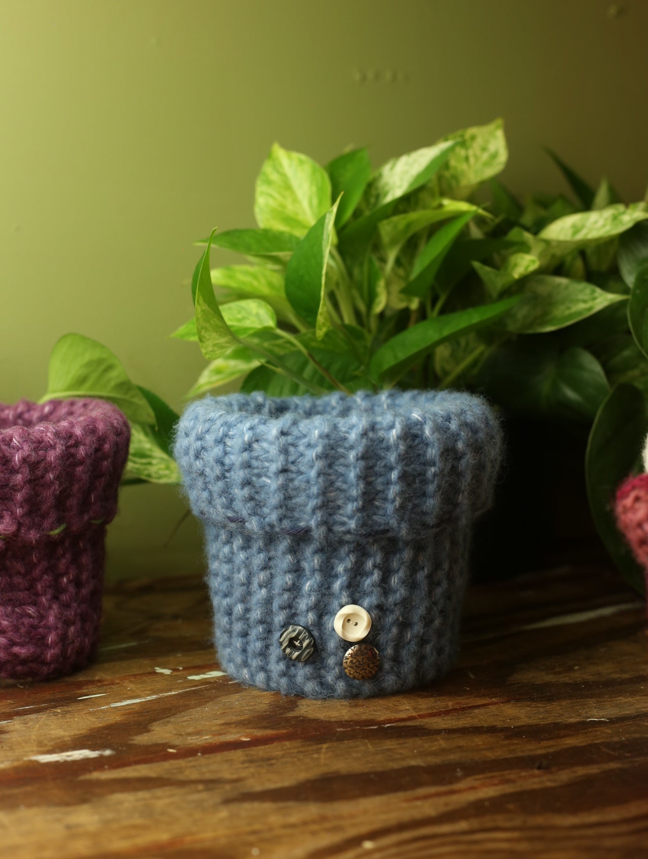 Plant Sweaters 5 inch
