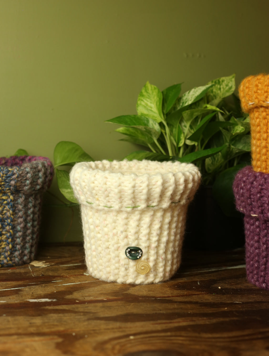 Plant Sweaters 6 inch