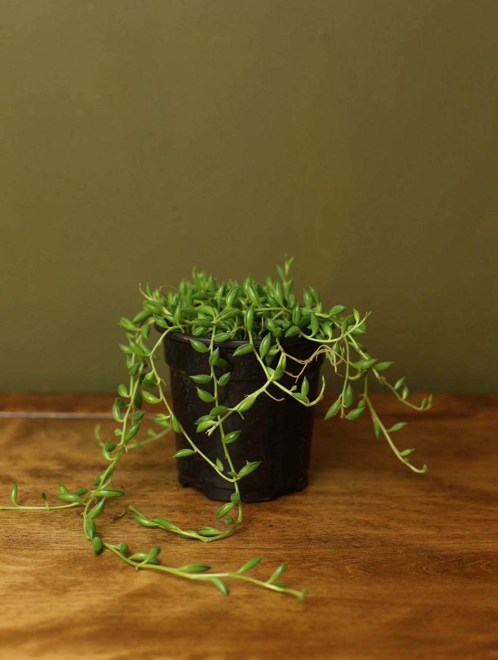 String of Bananas 4 Inch