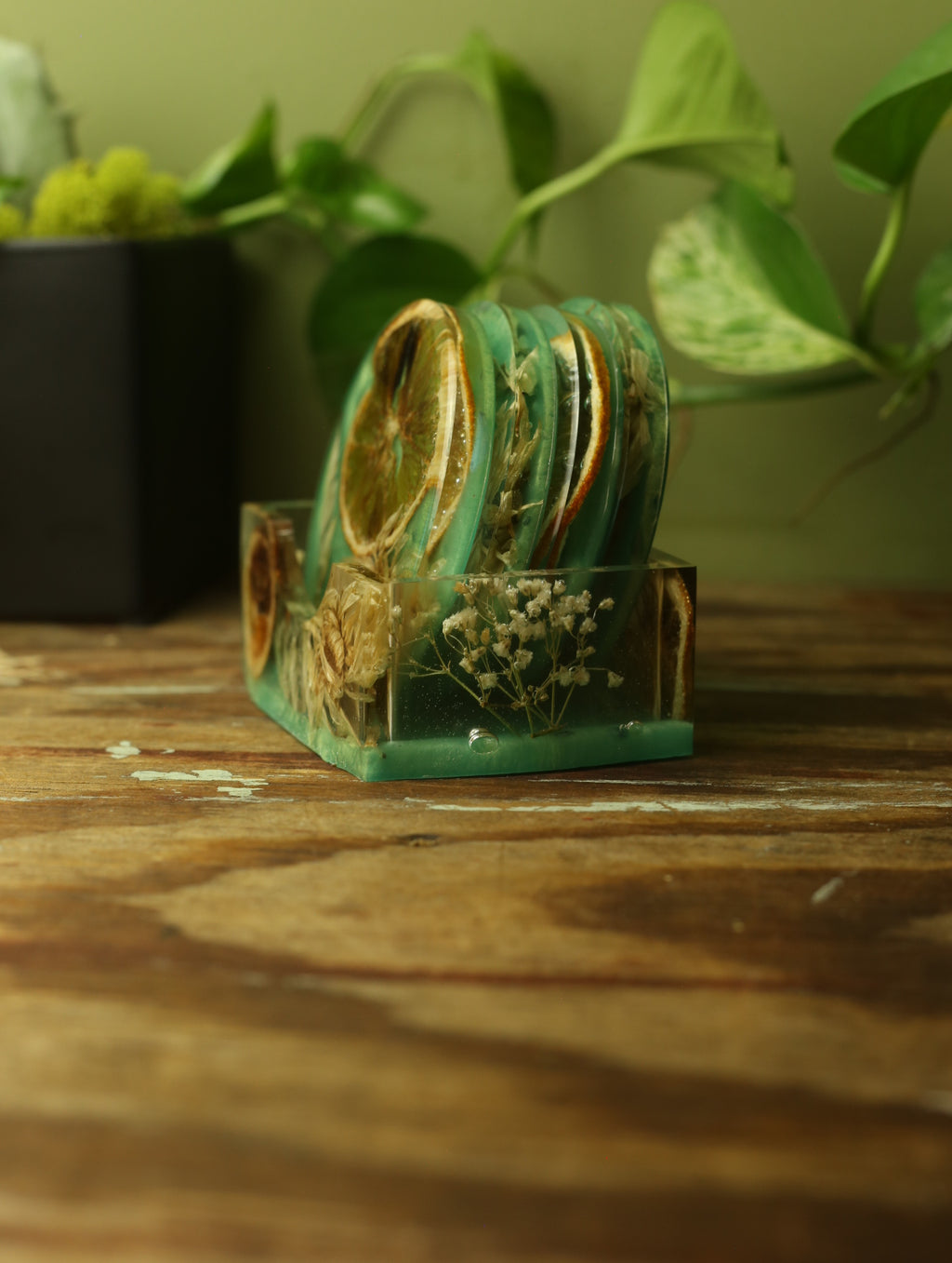 Preserved Flower & Orange Coaster Set