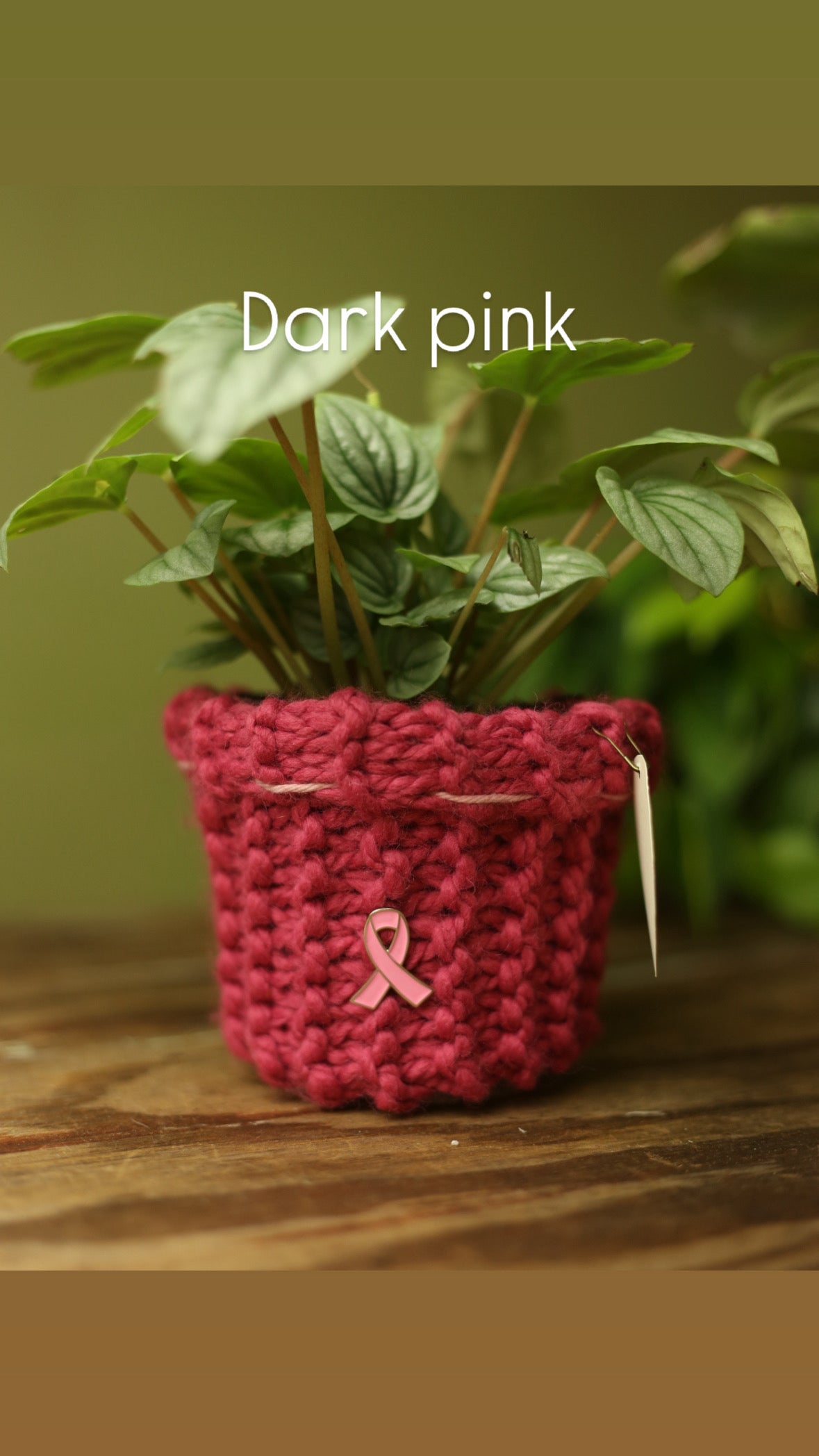 'Knit For A Cause' Plant Sweaters 4 Inch