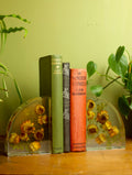 Strawflower Resin Bookends