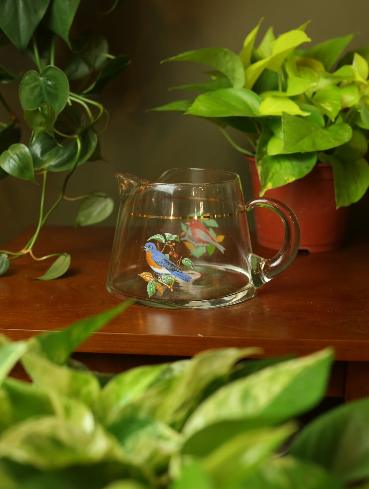 Bluebird & Scarlet Tanager Glass Pitcher