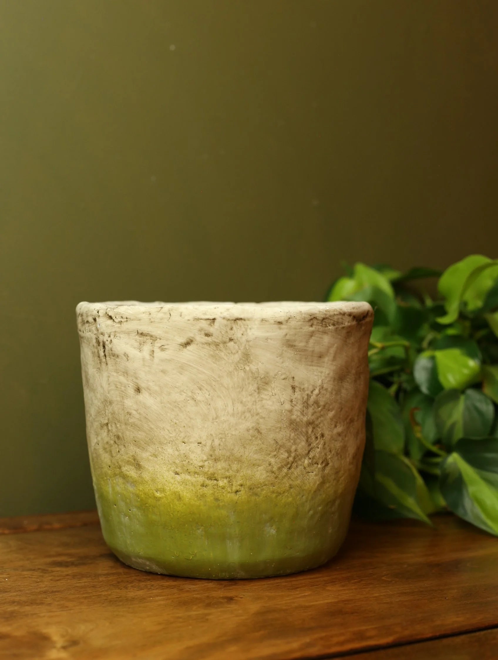 Mossy Plant Pot - Varying Sizes