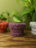 Plant Sweaters 2.5 inch